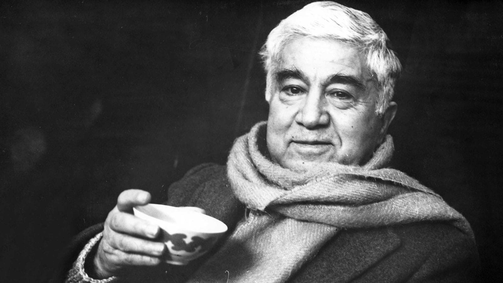 Aziz Nesin portre fotoğrafı